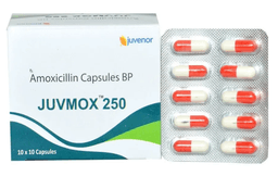 주브목스 JUVMOX 250mg