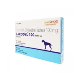 리마딜 칼프로펜 CARODYL 100mg