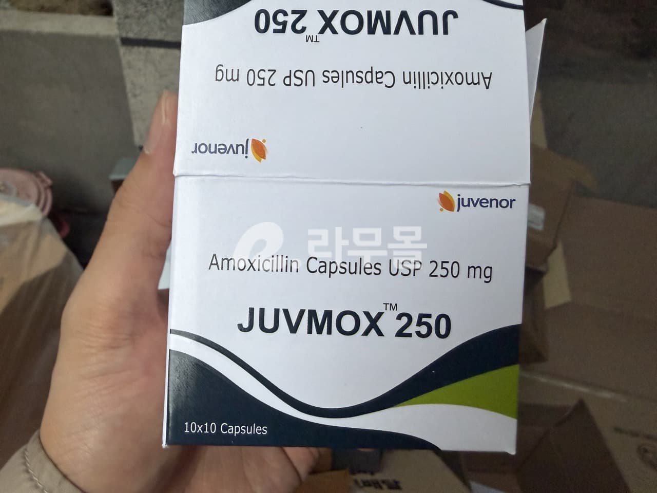 주브목스 JUVMOX 250mg 직구 후기