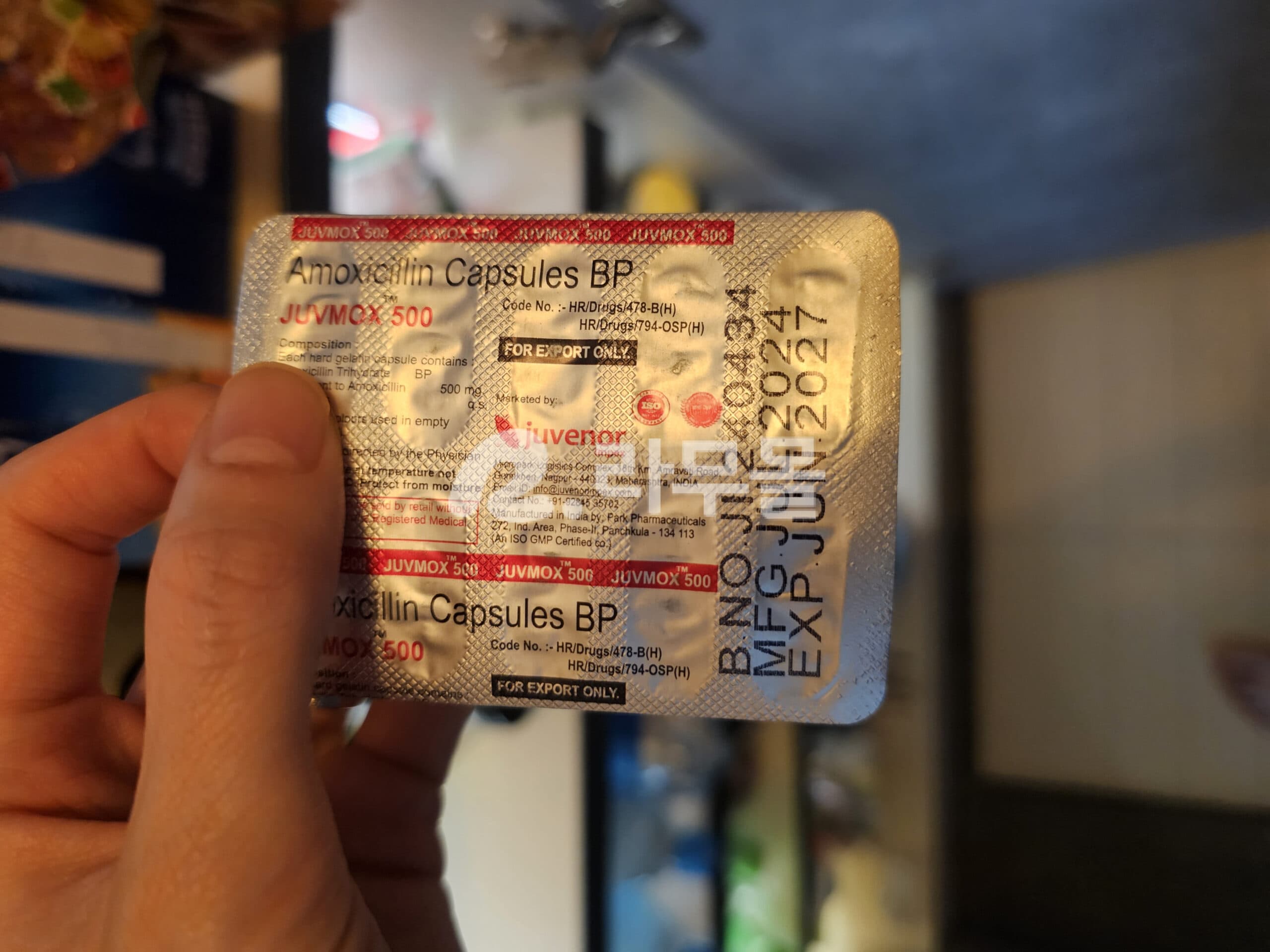주브목스 JUVMOX 500mg 직구 후기